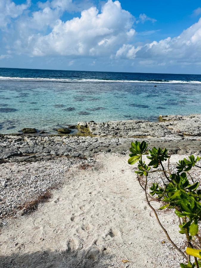 Bungalow Kura Moorea Εξωτερικό φωτογραφία