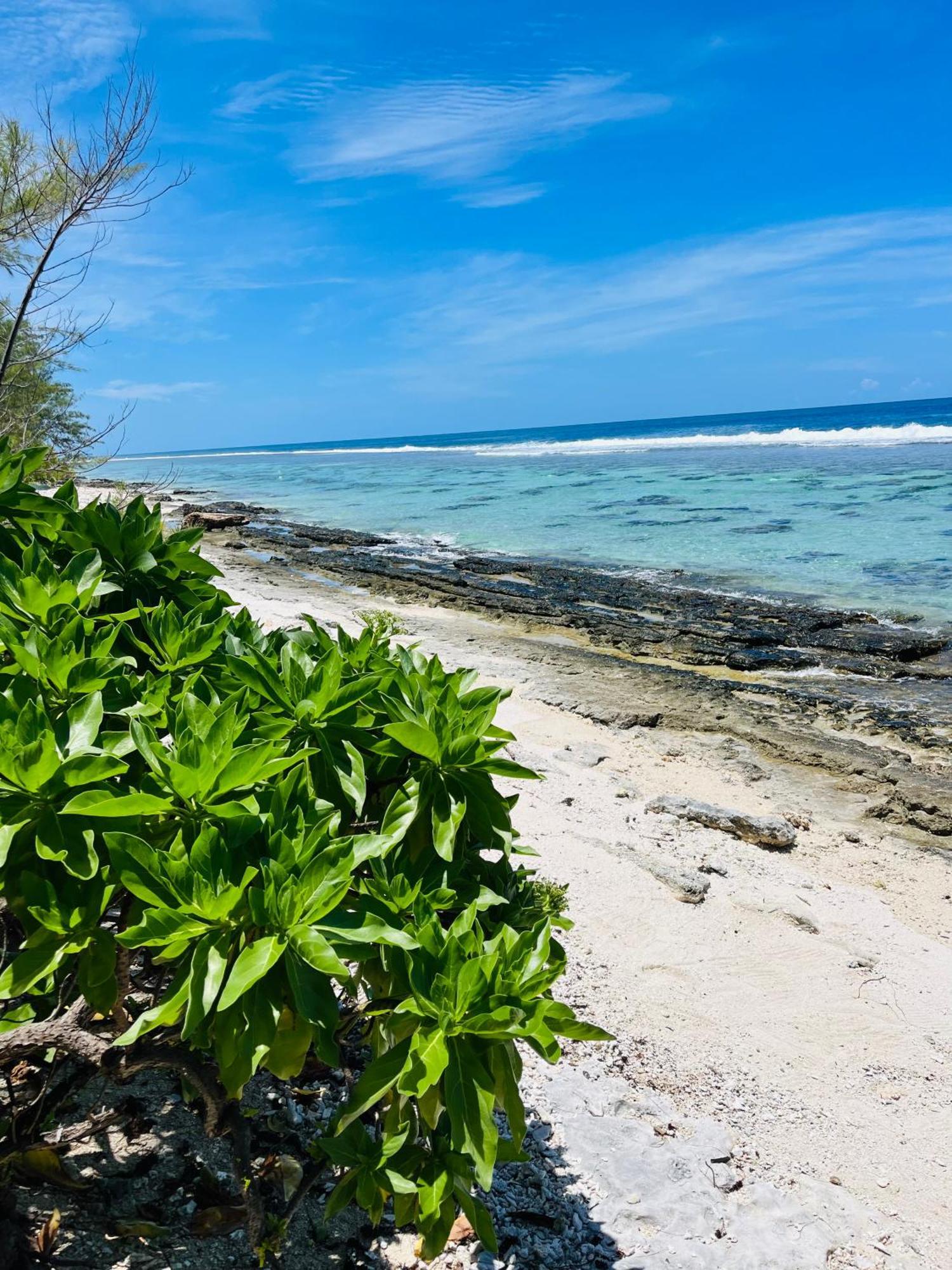 Bungalow Kura Moorea Εξωτερικό φωτογραφία
